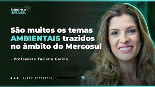 Desafios Ambientais do Brasil - Integração Regional e Agenda Ambiental | Concurso CACD