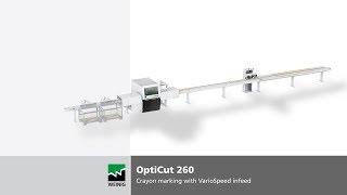 OptiCut 260 | Optimizing cross-cut saw for powerful cutting - WEINIG