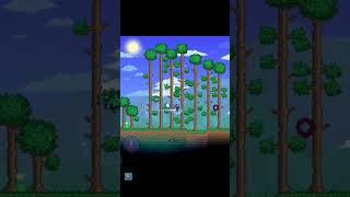 Сид на статую слизня 1.4.4.9 #КотЛегенда #Террария #Terraria