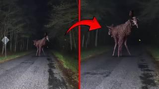 Top Weirdest Things caught on Camera