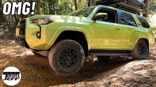 Steep Hill Ascent! 4Runner TRD Pro using Crawl Control & Multi-Terrain