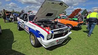 Toranafest 2024 Holden Toranas on display