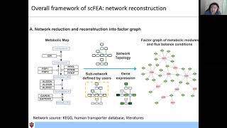 Chi Zhang Lab, scFEA -- RECOMB2021