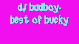 dj badboy