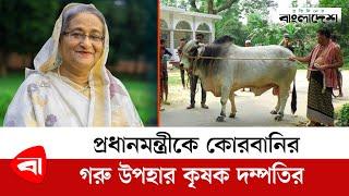 প্রধানমন্ত্রীকে কোরবানির গরু উপহার কৃষক দম্পতির | Prime Minister | Cow Gift | Sheikh Hasina