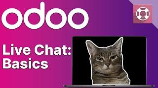 Live Chat: Basics | Odoo Helpdesk