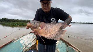 BERBURU IKAN SUNGAI SARAWAK BANYAK BUAYA // BOT TENGGELAM SEBELUM CHEK JARING…//