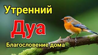 утренний дуа. дуа каждое утро