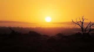 Breathtaking Golden Sunrise Royalty Free Nature Stock Footage