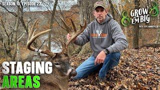 Create a Staging Area on a Small Property to Intercept Big Bucks