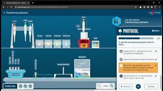 Transforming Bacteria | LabXchange | Ceydy Lazo