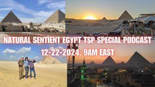 Natural Sentient Live from Egypt (pyramids, Ancient Sites) - Typcial Skeptic Podcast