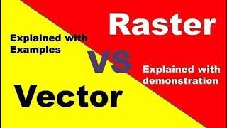 Illustration of Raster and Vector Data Structure Models with EXAMPLES