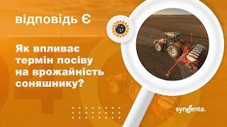 ВідповідьЄ. Як впливає термін посіву на врожайність соняшнику?