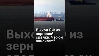 Димчогло о выходе России из зерновой сделки “Эрдоган готов. Путин — как обезьяна с гранатой”