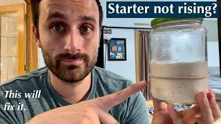 How to Fix Your Sourdough Starter When It WON'T RISE