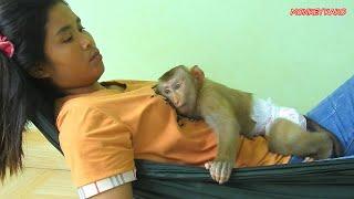 Lovely Family, Monkey Kako Feeling Good When Mom Grooming