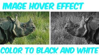 How to create image hover effect  | Black & white to color image