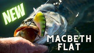 Shimano Macbeth Flat | New Crankbait Innovation