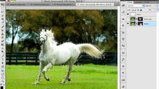 Adobe Photoshop CS5: Top 5 Features