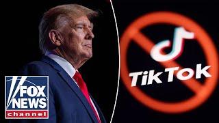 Biden administration ‘rushing’ to ban TikTok: Trump adviser