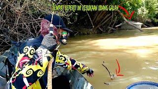 Luar biasa tempat ini!! penghuninya jumbo² setengah hari mancing dapat banyak udang galah besar²