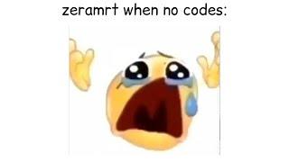 ZeraMRT when no codes