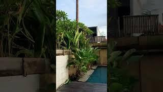 Selamat berakhir pekan #penginapanmurahbali #hotelmurahbali #vilamurahbali #penginapanmurah