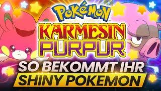 SO BEKOMMT IHR SHINY POKEMON in Karmesin & Purpur! | Shiny Hunting Guide