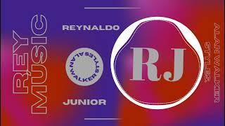 Frozen (Slap House Remix) ||Reynaldo Junior||