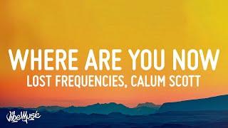 Lost Frequencies & Calum Scott - Where Are You Now (Lyrics)