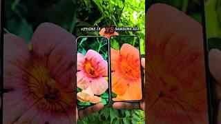 ️‍iphone 15 vs samsung s23 camera test #trending #shorts #smartphone  #iphone15s23