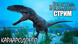 ВЫЖИВАНИЕ ЗА КАРХАРОДОНТОЗАВРА | BEASTS OF BERMUDA ► СТРИМ