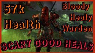 ESO Bloody Good Heals  Warden Healer PVP One Bar