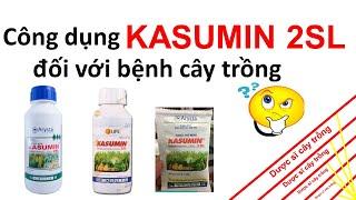 Bạn có biết Kasumin 2SL trừ cả nấm và vi khuẩn không? | Kasugamicin | bệnh cây | dược sĩ cây trồng