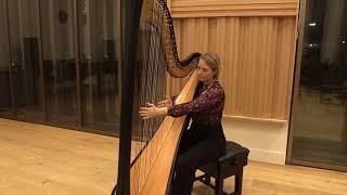 Sonata No 1 in D major by John Parry // Stien De Neef, Harpist