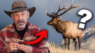 Elk Hunt With The 270 Win.?