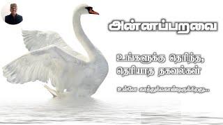 Annaparavai history Tamil l did Swan separate water l Vinoth Kumar