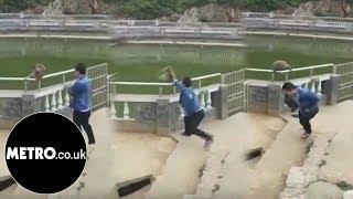 Tourist tries to prank monkey, monkey gets revenge | Metro.co.uk