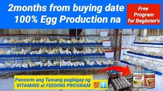 Free Program for Beginner's | Panoorin ang Tamang pagbigay ng VITAMINS at FEEDING PROGRAM