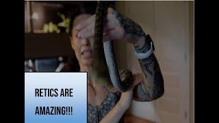 Retics are AWESOME! Here's a few reasons why...