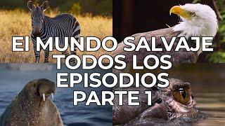 El Mundo Salvaje: Todos los Episodios Parte 1 | Free Documentary Nature -  Español