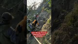 Jalur Menuju Puncak Rajawali Gunung Sumbing #ytshorts #shorts #shortsviral #gunungsumbing #feed