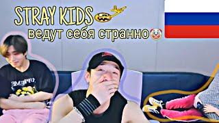 Stray Kids ведут себя странно | RUS CRACK | STRAY KIDS FUNNY MOMENTS