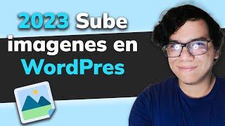 Biblioteca de medios en WordPress 2024 | Subir imágenes y archivos