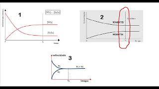 Equilíbrio químico   Análise de gráficos