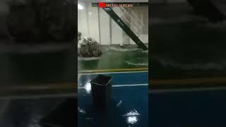 KEADAAN DI DALAM KAPAL KETIKA OMBAK BESAR #Shorts