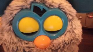 Furby shout-out time