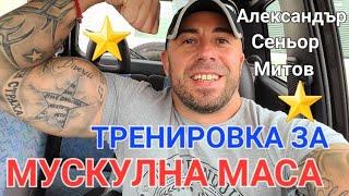 МУСКУЛНА МАСА - АЛЕКСАНДЪР СЕНЬОР МИТОВ а.С.м