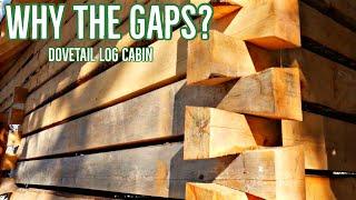 Dovetail Log Cabin - Why the Gaps?